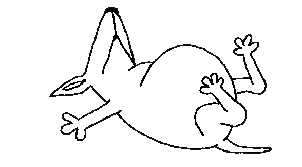cesleepy.gif (17739 bytes)